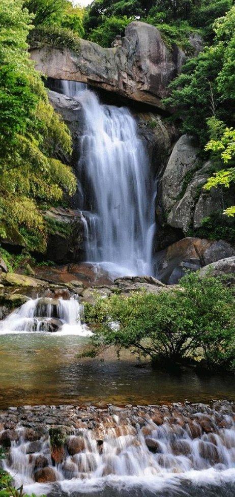 探索为什么一些体型庞大的鲸,会从水中突然跳出,然后重重地摔进海里呢?,加入知识星球平台!